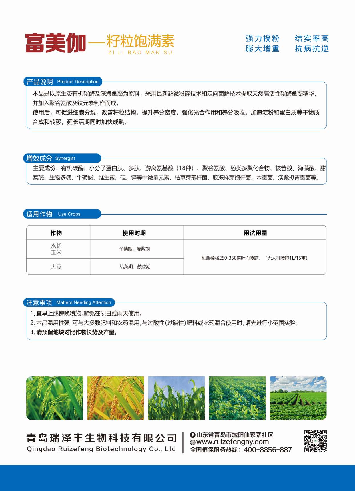 富美伽-籽粒饱满素（反面）.jpg